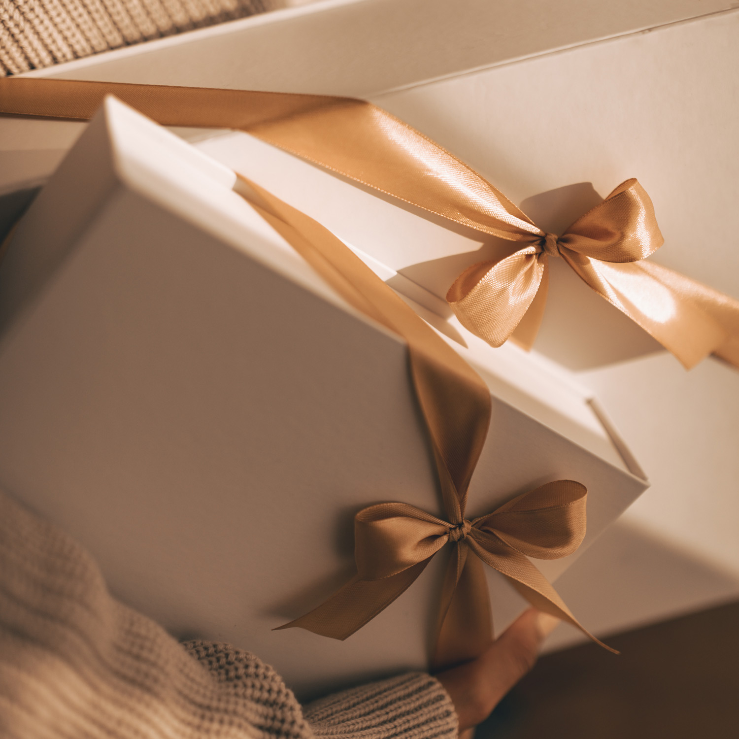 Salmee Disain karbid